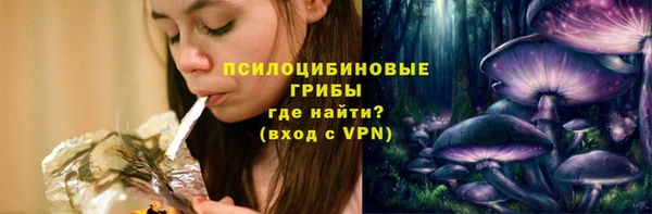 соль курить ск Ладушкин