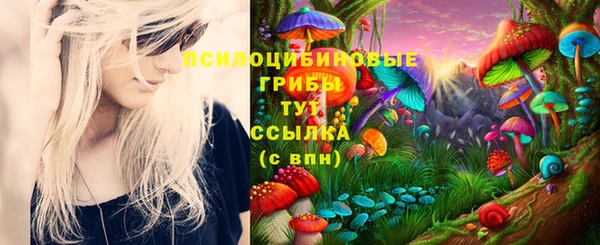 гашик Лагань