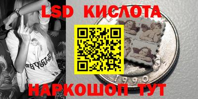 стафф Заводоуковск