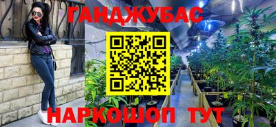 стафф Заводоуковск