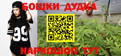 стафф Заводоуковск