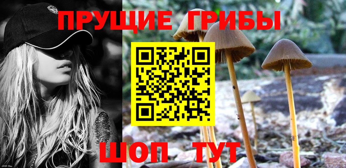 Галлюциногенные грибы прущие грибы Пенза